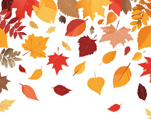 Maple Leaves Autumn Foliage Background with Fall Colors