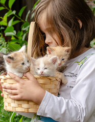 A sweet little girl smiling as she carefully holds a wicker basket with adorable kittens inside. Friendship and care. © tinkerfrost