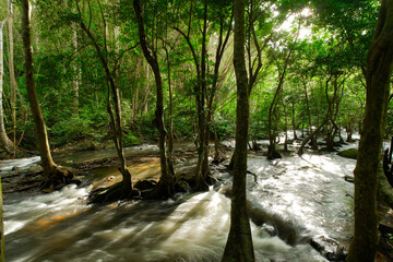 A stream of water is flowing through a forest 𝙆𝙝𝙡𝙤𝙣𝙜 𝙇𝙖𝙣 waterfall , 𝙆𝙖𝙢𝙥𝙝𝙖𝙚𝙣𝙜 𝙋𝙝𝙚𝙩