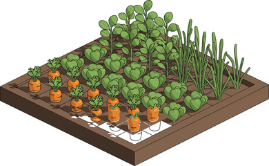 Vegetable garden illustration, organic farming design, carrots lettuce onions, raised garden bed, agriculture planting concept, healthy food cultivation vector artwork