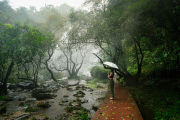 A woman is standing in a forest with an umbrella 𝙆𝙝𝙡𝙤𝙣𝙜 𝙇𝙖𝙣 waterfall , 𝙆𝙖𝙢𝙥𝙝𝙖𝙚𝙣𝙜 𝙋𝙝𝙚𝙩
