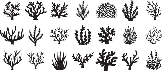Coral and Sea Plant Doodle Icons – Ocean, Reef, Marine, Fish, Nature, Water, Plants, Hand-drawn, Cartoon, Black, White, Sketch, Icon, Sea, Minimal, Decorative, Vector, Outline

