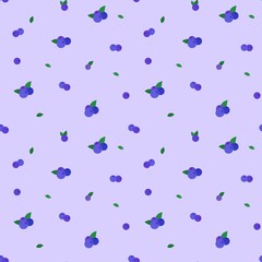 블루베리 패턴