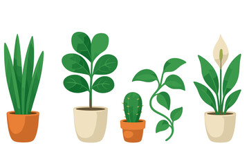 Assortment of different potted houseplants and indoor greenery including a peace lily and cactus on a clean white background