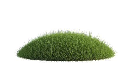 Isolated clump of grass for 3D rendering, landscaping, realistic scene, element for design
