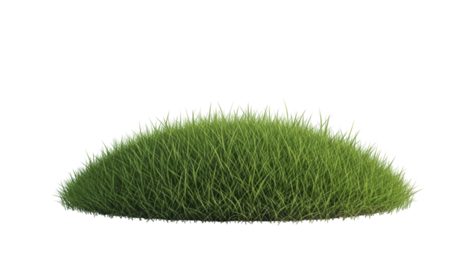 Isolated clump of grass for 3D rendering, landscaping, realistic scene, element for design