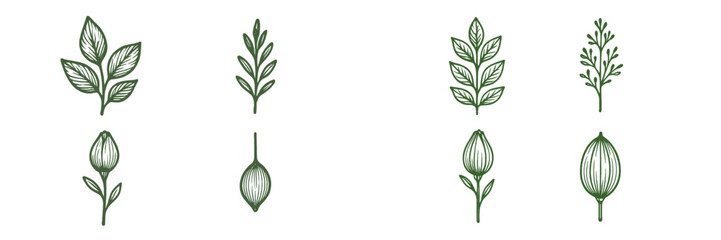 Collection of hand drawn botanical elements with green leaves, organic floral branches, and natural plant foliage designs
