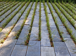 Concrete gray tiles with gaps in stripes. grass grows in the gaps and acts as an infiltration...