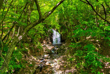 栃木県日光市　龍王峡の鬼怒川へ流れる竪琴の滝