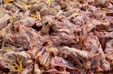 A disgusting and disturbing pile of chicken waste, bones, and carcasses. The image highlights the problem of improper disposal in nature and the consequences of food production.