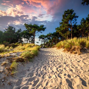 Sandy path through dunes at sunset