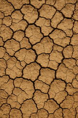 Parched cracked soil surface symbolizing drought and heat

