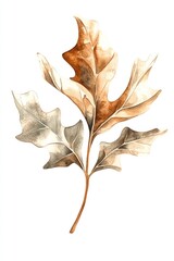 Fototapeta premium Mistletoe leaf illustration watercolor tones.