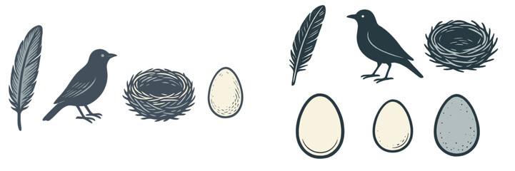 Collection of bird elements including nests, eggs, feathers, and adult birds in a natural style