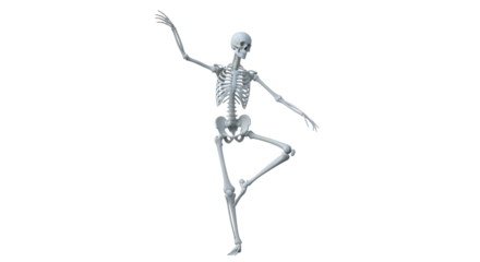 Isolated Skeleton Posing on One Leg, Arms Extended, Halloween Concept, Body Anatomy Model
