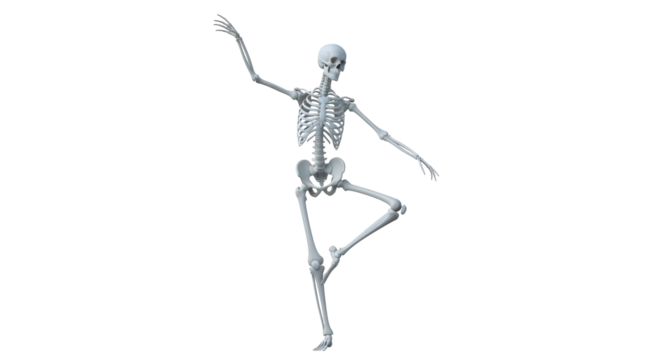 Isolated Skeleton Posing on One Leg, Arms Extended, Halloween Concept, Body Anatomy Model