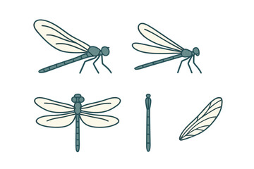 Stylized dragonfly and damselfly insects with various body angles and a detailed single wing on white background