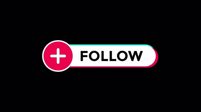 Follow Button Animation with TikTok on transparent Background 4K Video