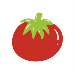 tomato vector illustration