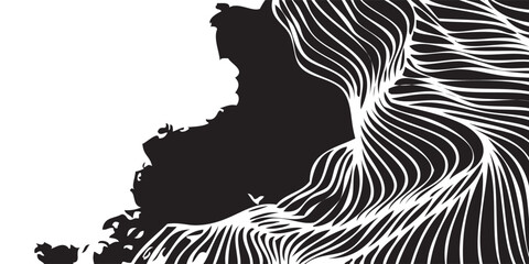 Abstract monochromatic graphic with dynamic flowing white lines contrasting solid black organic shape.