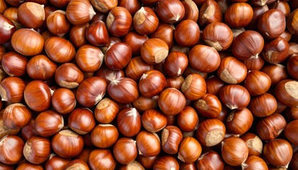Close-up view of many whole chestnuts