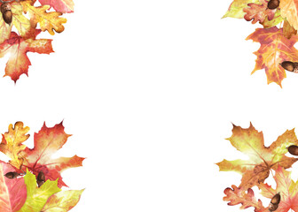 Fall autumn design elements with oak and maple leaves in the corners. Thanksgiving clipart. Harvest festival decorative frame. Hand-drawn watercolor illustration for greeting card, invitation, poster