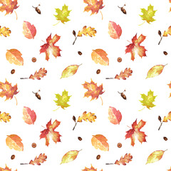Autumn red yellow maple leaves, oak leaves and acorns in seamless pattern. Fall harvest background. Autumn leaves clipart. Hand-drawn watercolor illustration for textile, wrapping paper