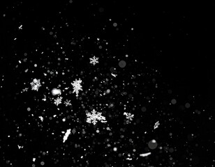 Floating Snow Particles on Black Background