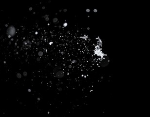 Floating Snow Particles on Black Background