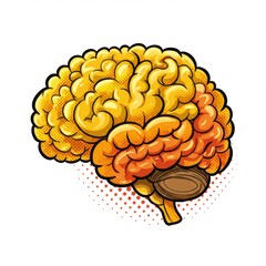 Detailed Pop Art Illustration of Human Brain Anatomy