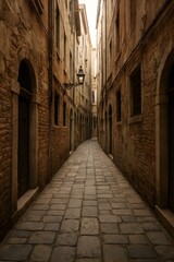 Fototapeta premium Narrow cobblestone alleyway between historic buildings