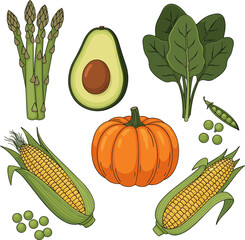  Isolated a kinds of deferent Vegetables and greens set. Cabbage, radish, pumpkin, mushroom, eggplant, tomato assortment collection. Harvesting concept. vector art with white background.