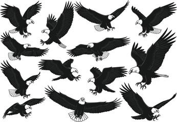 Bald eagle vector set, flying and landing poses, black and white silhouette, majestic bird illustration, wildlife symbol, freedom, predator, raptor art