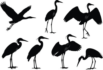 Heron bird silhouettes, flying and standing poses, vector wildlife illustration, black animal shapes, nature design elements, isolated on white background