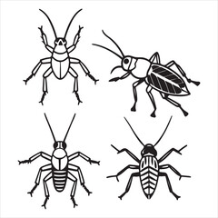 A Nocturnal and Acoustic Cricket, an Orthoptera Insect Known for its Chirping Sound from its Forewings, a Jumping Bug with a Unique Ootheca, a Subject of Bioacoustics