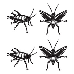 A Green and Leaping Grasshopper, a Hopping Herbivore with Powerful Hindlegs and a Chirping Sound, an Entomology Specimen from the Caelifera Order, Expert at Camouflage