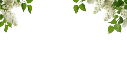 Flowers tree images tree plant images decorated flower isolated in white background lilac png 