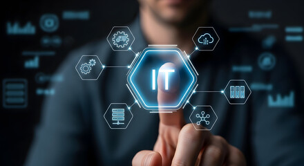 IT professional interacting with digital network interface