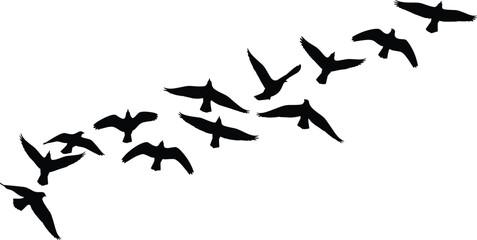 Silhouette flock of birds flying in formation, dynamic wing motion, nature migration concept, black vector illustration, wildlife freedom, minimalist design, isolated graphic
