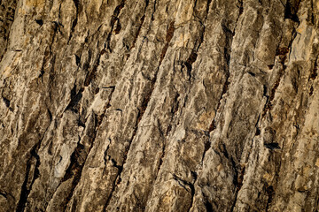 Textured rock surface with visible cracks, earthy shades and rugged natural details. The geological formation highlights the raw beauty of nature, making it perfect for use as a background or texture.