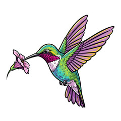Obraz premium Adorable hummingbird mid-flight with shimmering colorful feathers, golden highlights, hovering near flower, bright vector illustration