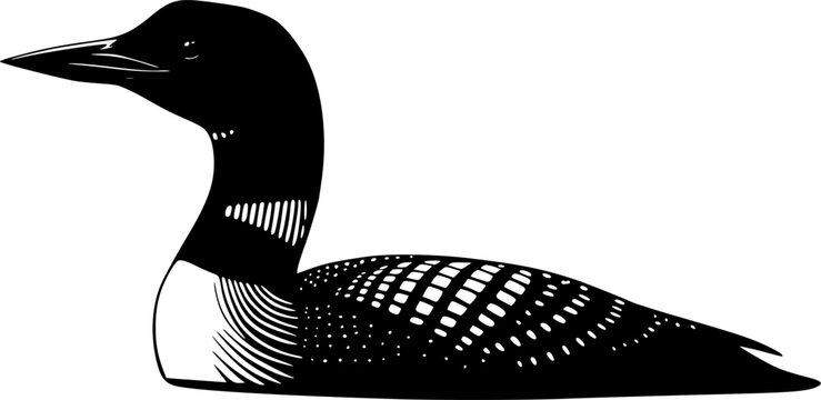 Elegant common loon bird animal wildlife nature silhouette vector illustration