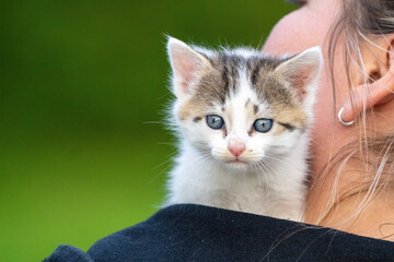 mały koćiak © Marek