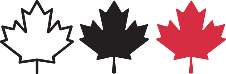 maple leaves icon collection isolated on transparent background. vector illustration