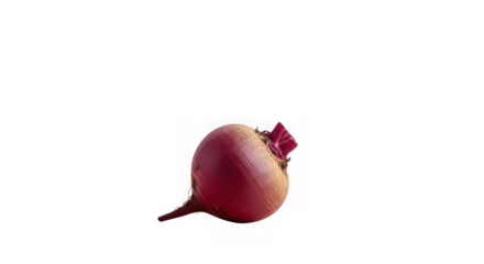 Single ripe red radish with a green leaf isolated on transparent background