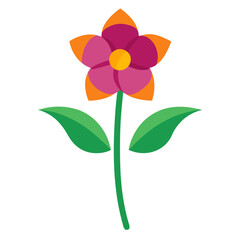 orthosiphon thymiflorus flower vector on white background