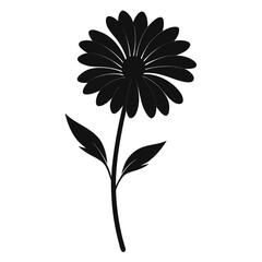  osteospermum fruticosum silhouette vector on white background
