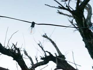 Vintage lamp decorative in my garden italy