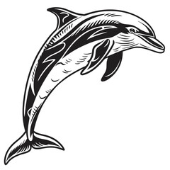vector illustration of a dolphin