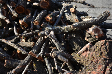 Old cut logs of apricot tree with annual rings. Close up of logs stacked on pile. Felled tree in garden in Sicily, Italy. Wooden background with annual rings. Tree circle texture. 